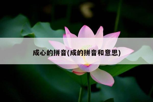 成心的拼音(成的拼音和意思)