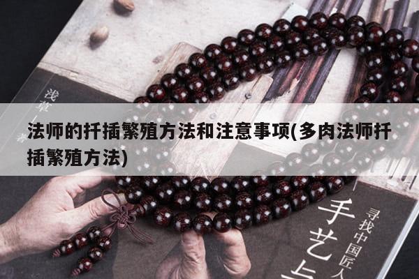 法师的扦插繁殖方法和注意事项(多肉法师扦插繁殖方法)