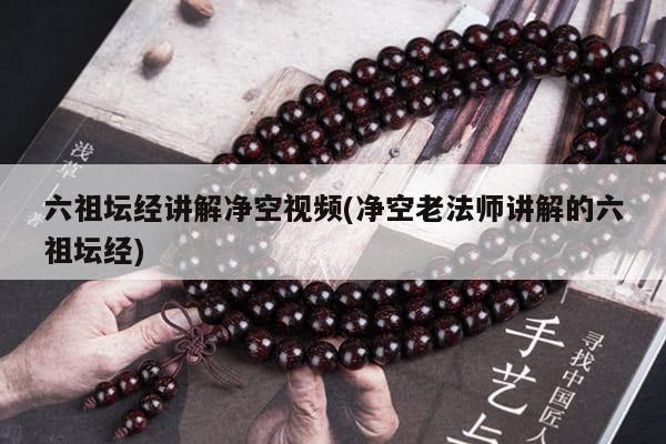 六祖坛经讲解净空视频(净空老法师讲解的六祖坛经)