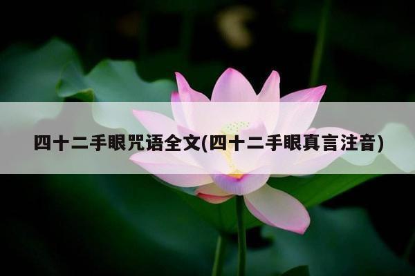 四十二手眼咒语全文(四十二手眼真言注音)