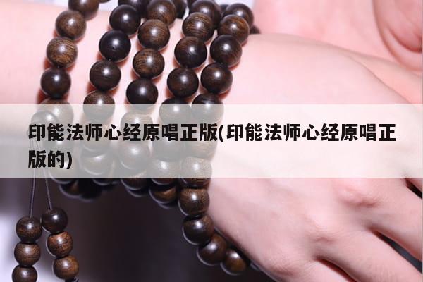 印能法师心经原唱正版(印能法师心经原唱正版的)